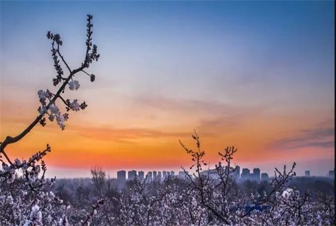 關(guān)于中央、省、市出臺的促進企業(yè)復(fù)工復(fù)產(chǎn) 政策及主要內(nèi)容解讀