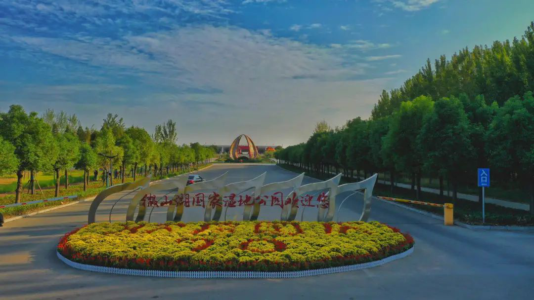 “云游”多彩濕地：濟(jì)寧微山湖濕地帶您領(lǐng)悟獨(dú)特的濕地之美！