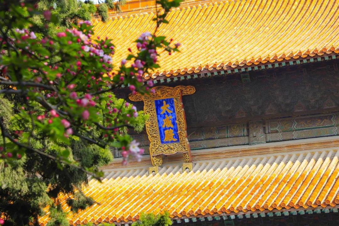 五一出游攻略 | 孔子文旅集團這些景區(qū)歡迎打卡！